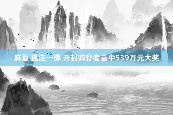 麻豆 孤注一掷 开封购彩者喜中539万元大奖