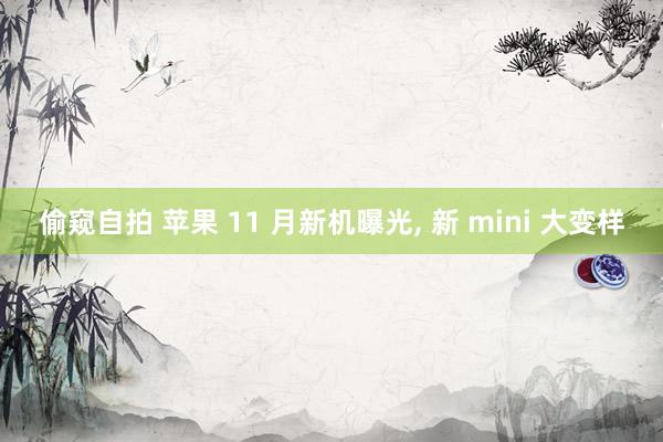 偷窥自拍 苹果 11 月新机曝光， 新 mini 大变样