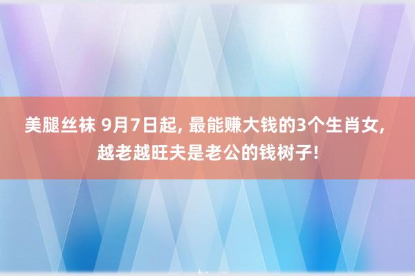 美腿丝袜 9月7日起， 最能赚大钱的3个生肖女， 越老越旺夫是老公的钱树子!