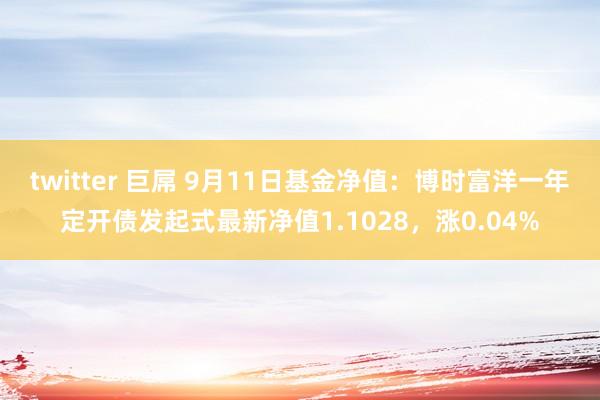 twitter 巨屌 9月11日基金净值：博时富洋一年定开债发起式最新净值1.1028，涨0.04%