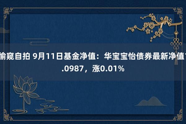 偷窥自拍 9月11日基金净值：华宝宝怡债券最新净值1.0987，涨0.01%