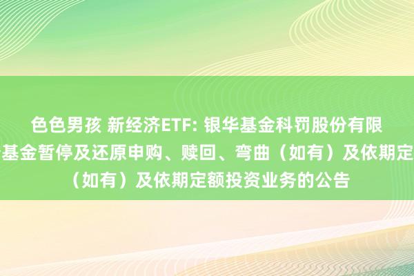 色色男孩 新经济ETF: 银华基金科罚股份有限公司对于旗下部分基金暂停及还原申购、赎回、弯曲（如有）及依期定额投资业务的公告