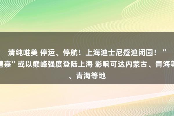 清纯唯美 停运、停航！上海迪士尼蹙迫闭园！“贝碧嘉”或以巅峰强度登陆上海 影响可达内蒙古、青海等地