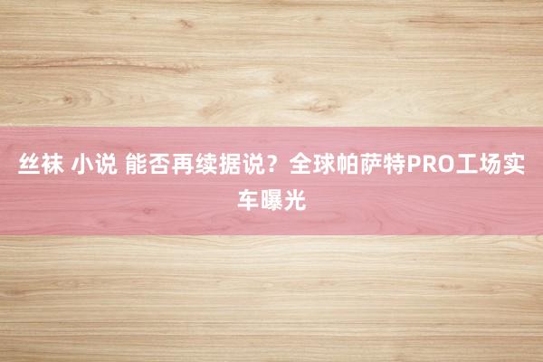 丝袜 小说 能否再续据说？全球帕萨特PRO工场实车曝光