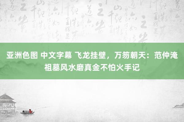 亚洲色图 中文字幕 飞龙挂壁，万笏朝天：范仲淹祖墓风水磨真金不怕火手记