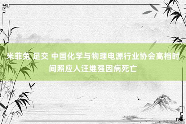 米菲兔 足交 中国化学与物理电源行业协会高档时间照应人汪继强因病死亡