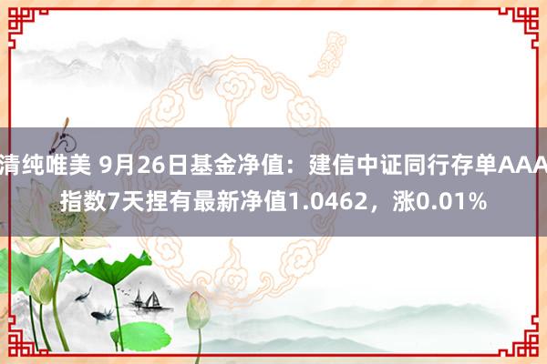 清纯唯美 9月26日基金净值：建信中证同行存单AAA指数7天捏有最新净值1.0462，涨0.01%