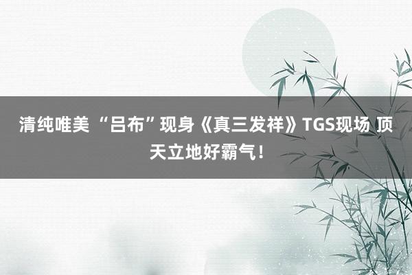 清纯唯美 “吕布”现身《真三发祥》TGS现场 顶天立地好霸气！