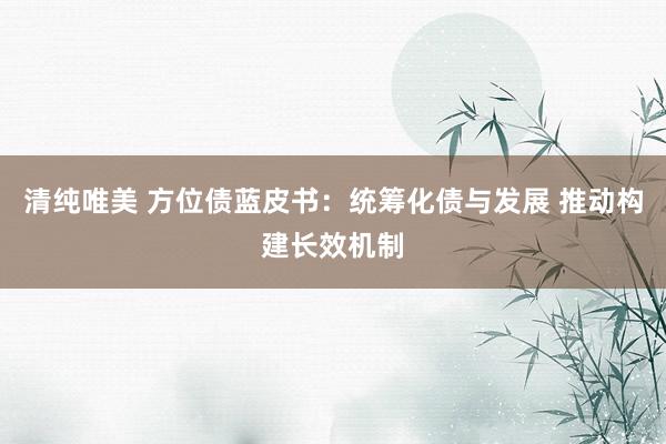 清纯唯美 方位债蓝皮书：统筹化债与发展 推动构建长效机制