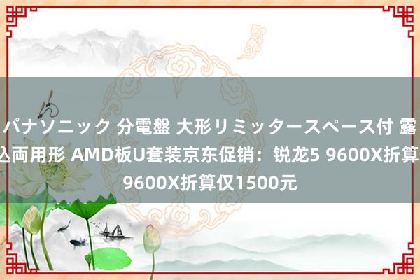 パナソニック 分電盤 大形リミッタースペース付 露出・半埋込両用形 AMD板U套装京东促销：锐龙5 9600X折算仅1500元