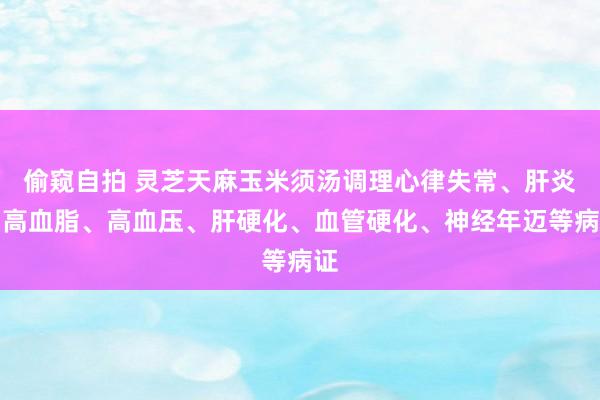 偷窥自拍 灵芝天麻玉米须汤调理心律失常、肝炎、高血脂、高血压、肝硬化、血管硬化、神经年迈等病证