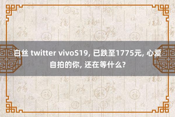 白丝 twitter vivoS19， 已跌至1775元， 心爱自拍的你， 还在等什么?