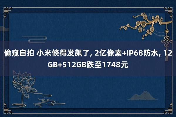 偷窥自拍 小米倏得发飙了， 2亿像素+IP68防水， 12GB+512GB跌至1748元