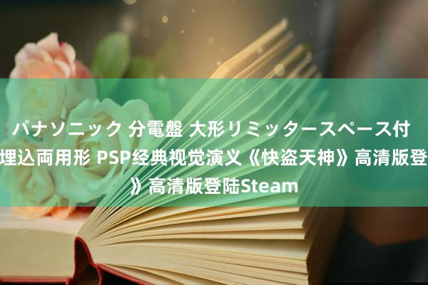 パナソニック 分電盤 大形リミッタースペース付 露出・半埋込両用形 PSP经典视觉演义《快盗天神》高清版登陆Steam