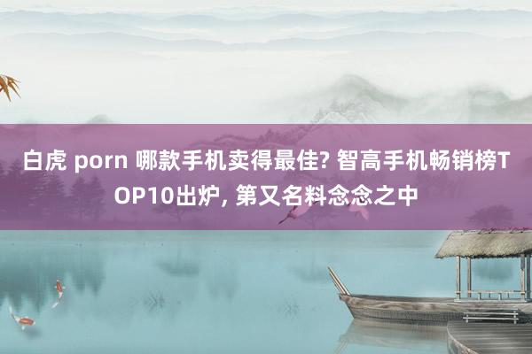 白虎 porn 哪款手机卖得最佳? 智高手机畅销榜TOP10出炉， 第又名料念念之中