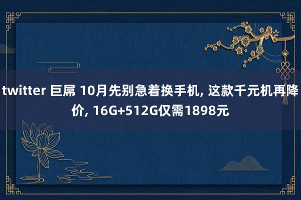 twitter 巨屌 10月先别急着换手机， 这款千元机再降价， 16G+512G仅需1898元