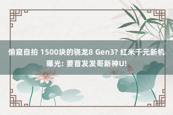 偷窥自拍 1500块的骁龙8 Gen3? 红米千元新机曝光: 要首发发哥新神U!