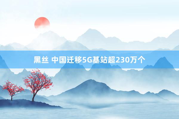 黑丝 中国迁移5G基站超230万个