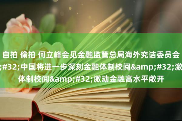 自拍 偷拍 何立峰会见金融监管总局海外究诘委员会委员时指出&#32;中国将进一步深刻金融体制校阅&#32;激动金融高水平敞开