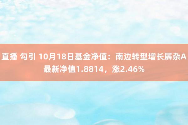 直播 勾引 10月18日基金净值：南边转型增长羼杂A最新净值1.8814，涨2.46%