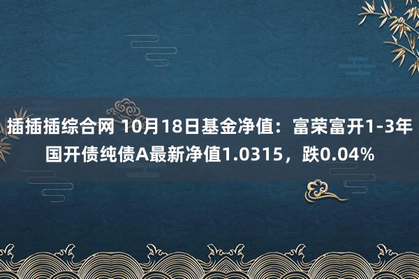 插插插综合网 10月18日基金净值：富荣富开1-3年国开债纯债A最新净值1.0315，跌0.04%