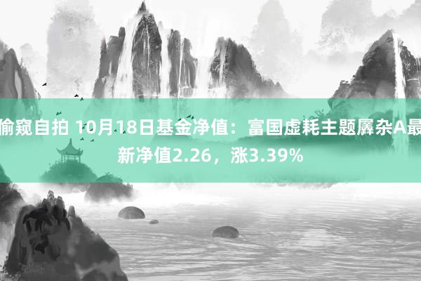 偷窥自拍 10月18日基金净值：富国虚耗主题羼杂A最新净值2.26，涨3.39%