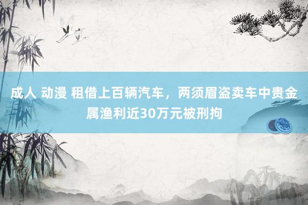 成人 动漫 租借上百辆汽车，两须眉盗卖车中贵金属渔利近30万元被刑拘