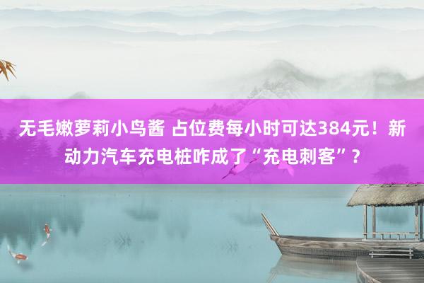 无毛嫩萝莉小鸟酱 占位费每小时可达384元！新动力汽车充电桩咋成了“充电刺客”？