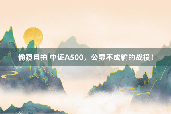 偷窥自拍 中证A500，公募不成输的战役！