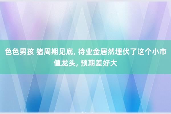 色色男孩 猪周期见底， 待业金居然埋伏了这个小市值龙头， 预期差好大