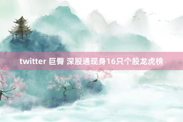 twitter 巨臀 深股通现身16只个股龙虎榜