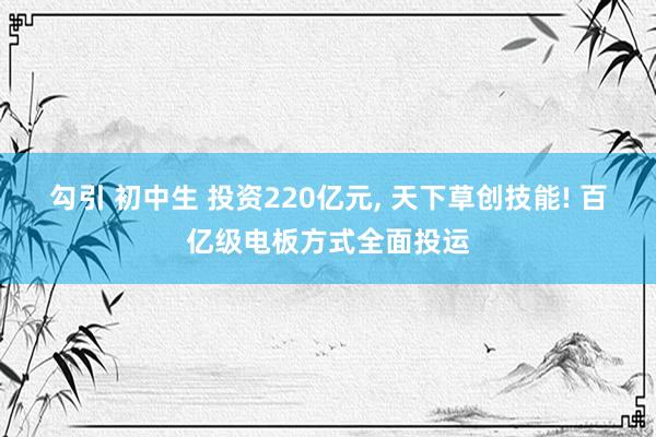 勾引 初中生 投资220亿元， 天下草创技能! 百亿级电板方式全面投运