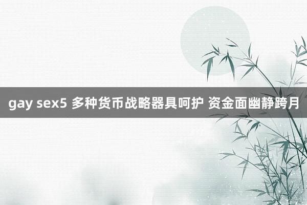 gay sex5 多种货币战略器具呵护 资金面幽静跨月