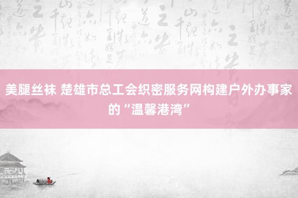 美腿丝袜 楚雄市总工会织密服务网构建户外办事家的“温馨港湾”