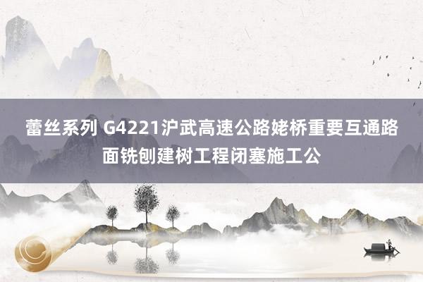 蕾丝系列 G4221沪武高速公路姥桥重要互通路面铣刨建树工程闭塞施工公