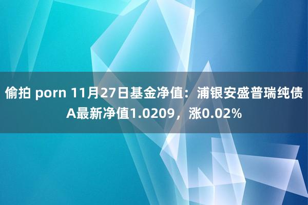 偷拍 porn 11月27日基金净值：浦银安盛普瑞纯债A最新净值1.0209，涨0.02%