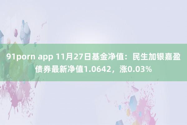 91porn app 11月27日基金净值：民生加银嘉盈债券最新净值1.0642，涨0.03%