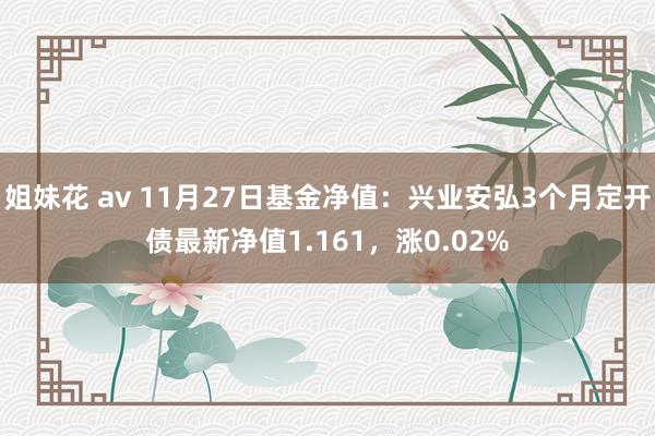 姐妹花 av 11月27日基金净值：兴业安弘3个月定开债最新净值1.161，涨0.02%