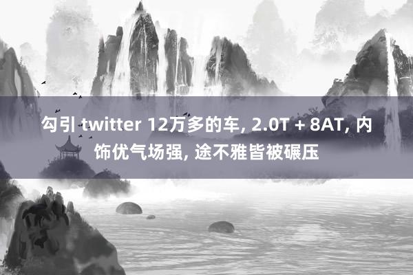 勾引 twitter 12万多的车， 2.0T + 8AT， 内饰优气场强， 途不雅皆被碾压