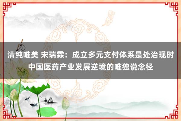 清纯唯美 宋瑞霖：成立多元支付体系是处治现时中国医药产业发展逆境的唯独说念径