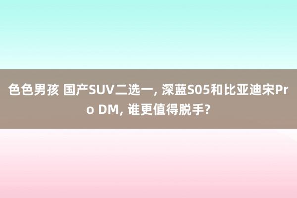 色色男孩 国产SUV二选一， 深蓝S05和比亚迪宋Pro DM， 谁更值得脱手?