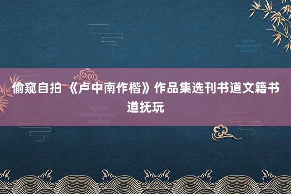 偷窥自拍 《卢中南作楷》作品集选刊书道文籍书道抚玩