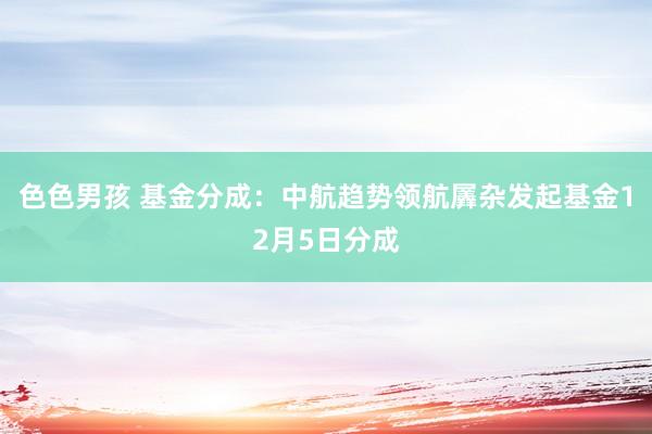 色色男孩 基金分成：中航趋势领航羼杂发起基金12月5日分成