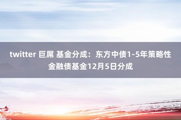 twitter 巨屌 基金分成：东方中债1-5年策略性金融债基金12月5日分成