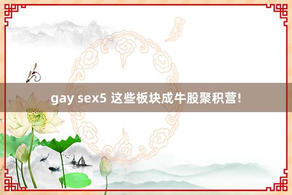 gay sex5 这些板块成牛股聚积营!