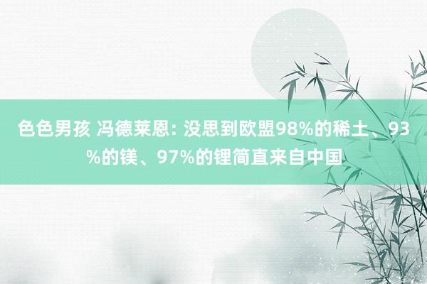 色色男孩 冯德莱恩: 没思到欧盟98%的稀土、93%的镁、97%的锂简直来自中国