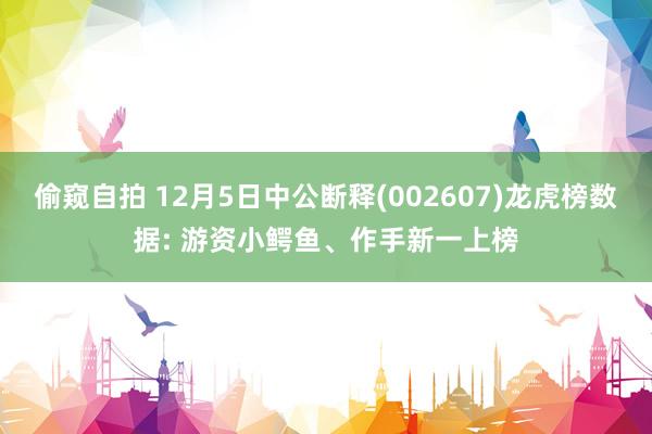 偷窥自拍 12月5日中公断释(002607)龙虎榜数据: 游资小鳄鱼、作手新一上榜