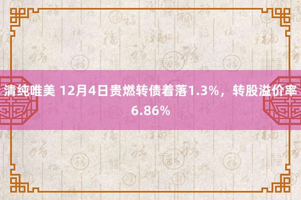 清纯唯美 12月4日贵燃转债着落1.3%，转股溢价率6.86%