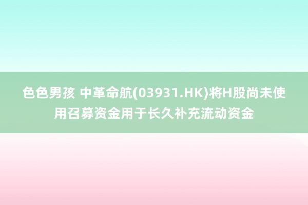 色色男孩 中革命航(03931.HK)将H股尚未使用召募资金用于长久补充流动资金