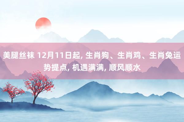 美腿丝袜 12月11日起， 生肖狗、生肖鸡、生肖兔运势提点， 机遇满满， 顺风顺水